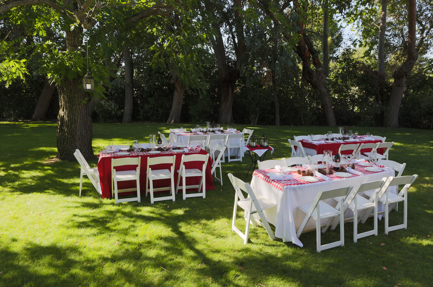 Los Gatos Lodge Ngoại thất bức ảnh