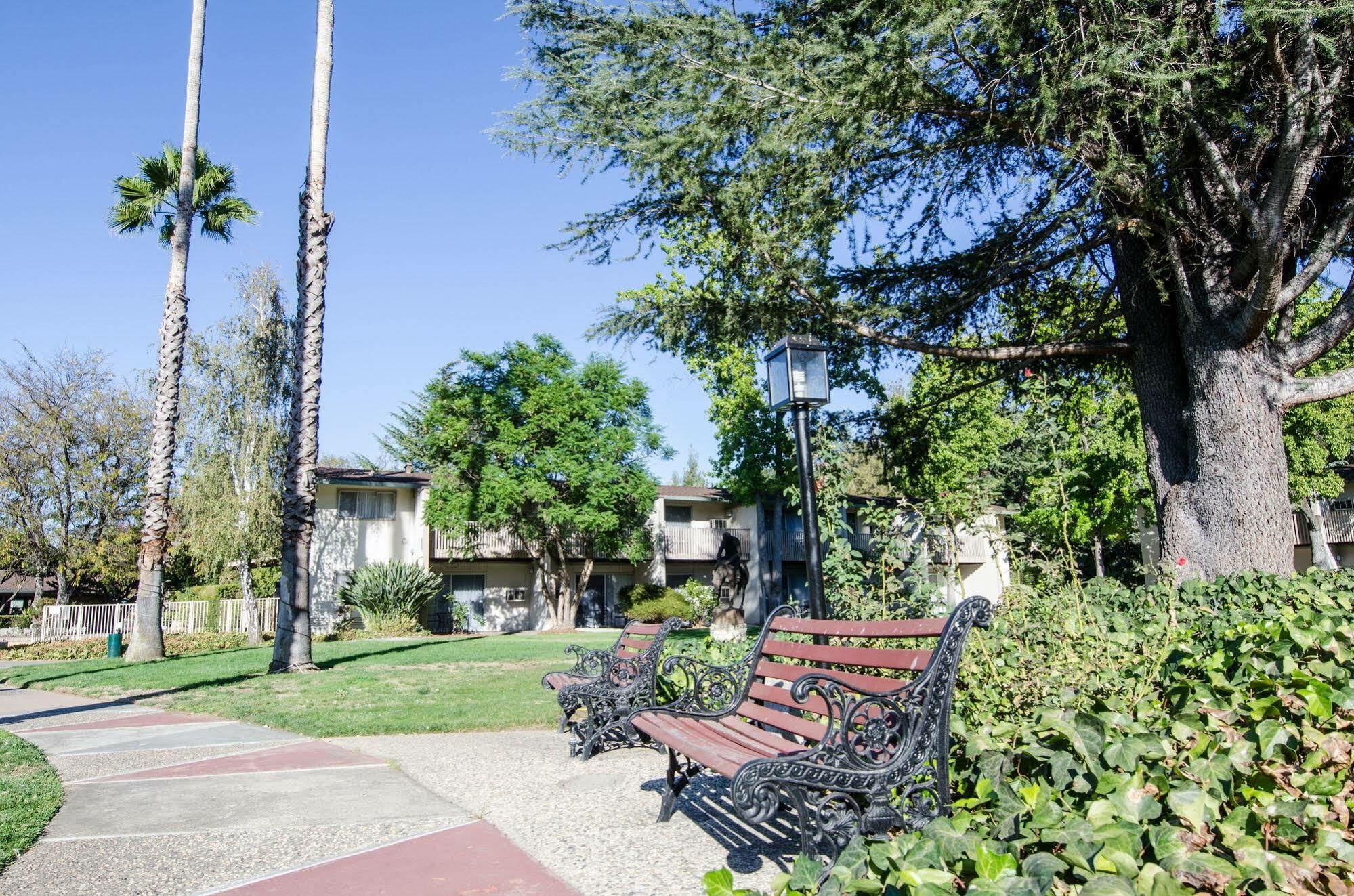 Los Gatos Lodge Ngoại thất bức ảnh